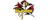 Acclaim EmpireXlogo std