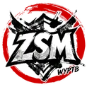 ZSMlogo square