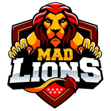 MAD Lions E.C.logo square.png