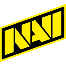 Natus Vincere Logo