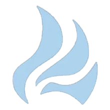 Team Cloud Drake Logo