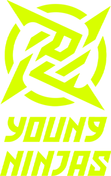 Young Ninjas Logo