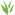 Junglerole icon