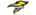 Nuclear Storm Gaminglogo std.png