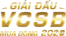 VCSB 2020 Winter Logo