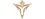 Victory Fivelogo std.png