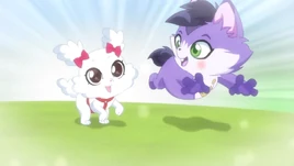 Pupylove