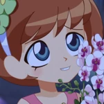 Клара для шаблона заглавной