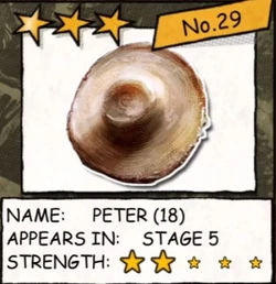 Peter