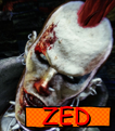 Zed Identification.png