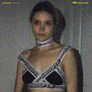 IDR (826 KB) IDR (2017)