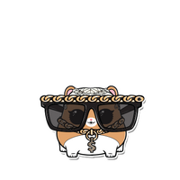mc hammy lol