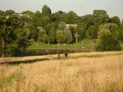 Hampsteadheath1