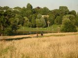 Hampstead Heath