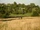Hampstead Heath