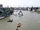 River.thames.viewfromtowerbridge.london.arp.jpg