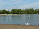 Hyde Park and Kensington Gardens