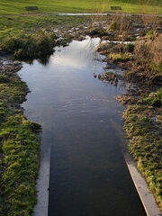 Sutcliffe Park 1.jpg