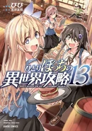 Manga Volume 13 cover