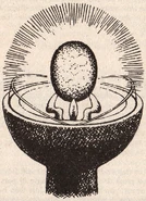 Moonstonelw.jpg (180 KB)