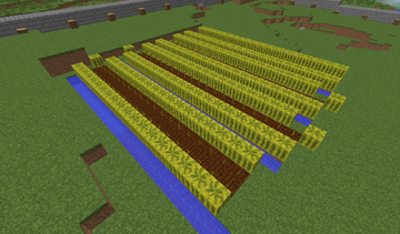 The melon farm clearance
