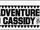 The Adventures Of David Cassidy