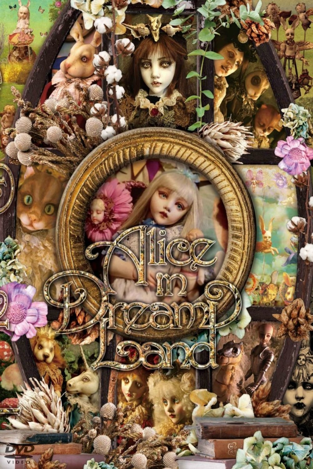 Alice in Dreamland | Wonderland Wiki | Fandom Alice in Dreamland | Wonderland Wiki | Fandom