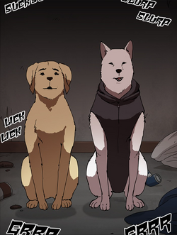 Enu Lookism Wikia Fandom