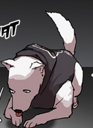 Ep. 149 - Eden licking a cat