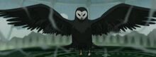 OwlForm