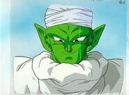 Piccolo smile