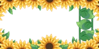 Solflowers Frame