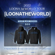 LOONATHEWORLD Tour Merchandise 1