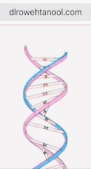 http://dlrowehtanool.com DNA GIF