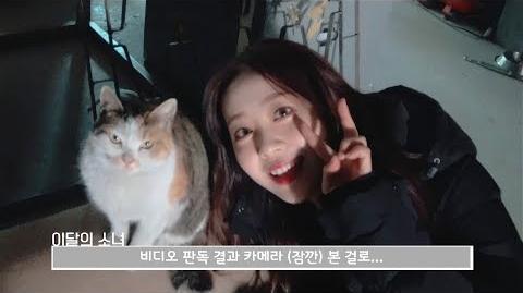 その他 Loona LOONA - [0] (Yves Image Teasers) : r/LOONA