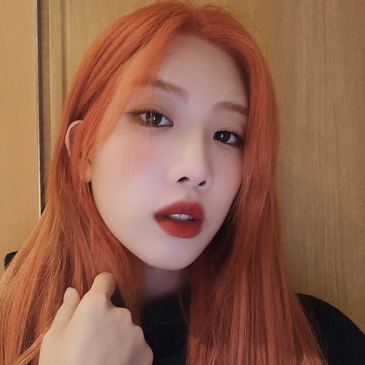 Kim Lip/Facts | LOOΠΔ Wiki | Fandom