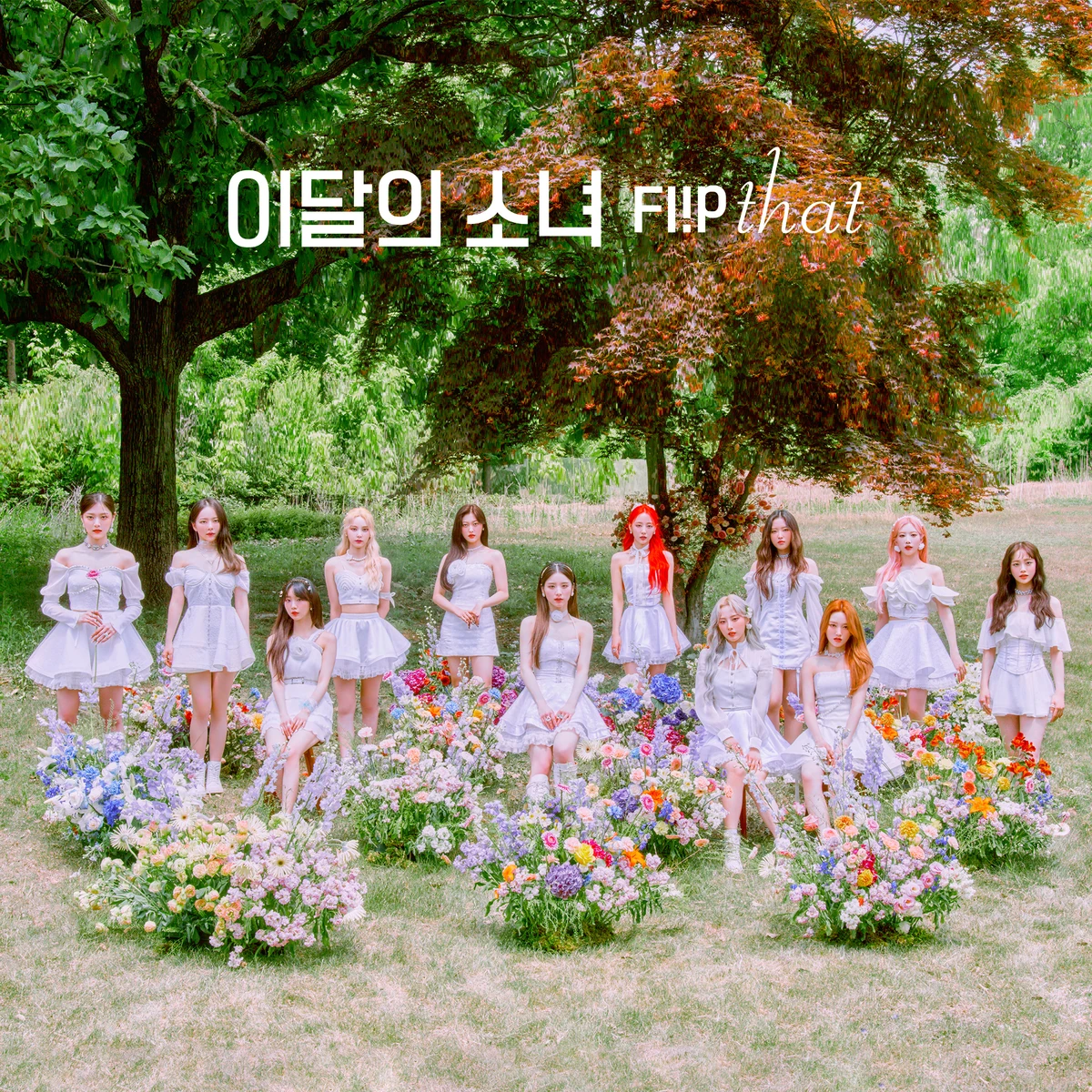 Flip That | LOOΠΔ Wiki | Fandom