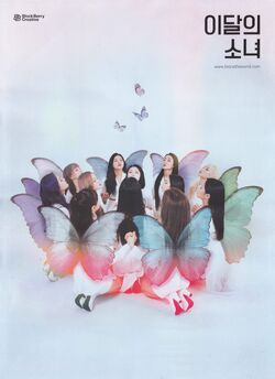 X X] | LOOΠΔ Wiki | Fandom