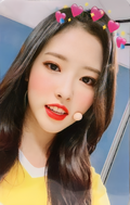 LOONA Hi High Broadcast Photocard Set 1 HyeJu