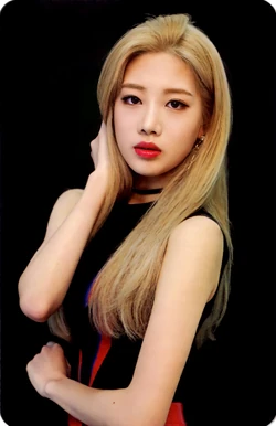 ARTMS LOONA KimLip キムリプ 김립 ポラロイド チェキ artms loona キムリプ ポラ チェキ ARTMS Kim Lip Dall Version Up