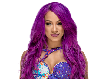 Sasha Banks Looney Tunes Fan Fiction Wiki Fandom