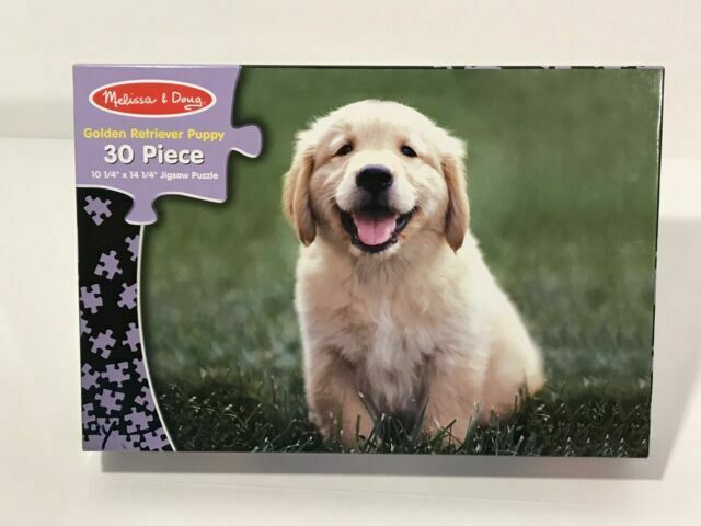 Cardboard Puzzle Golden Retriever Looney Tunes Fan Fiction Wiki Fandom