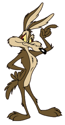 Coyote looney tunes deals