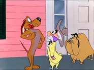 IMG 2673.png (2.54 MB)