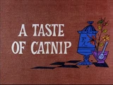 A Taste of Catnip
