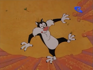 A repeat of the canyon fall gag as seen in The Jet Cage from the Speedy Gonzales and Sylvester cartoon "Road to Andalay" (Note: This exact same scene and animation is seen twice in this cartoon)