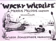 "Wacky Wildlife"