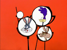 19681wb.png