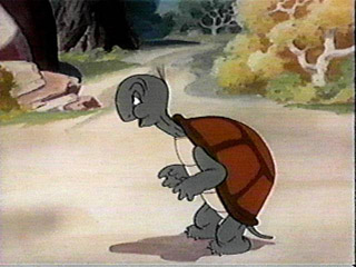 Cecil Turtle | Looney Tunes Wiki | Fandom Cecil Turtle | Looney Tunes Wiki | Fandom