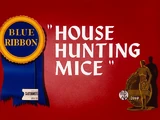 House Hunting Mice